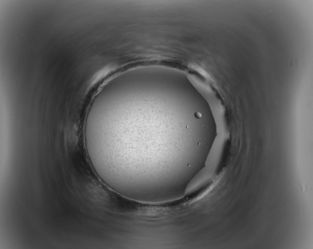 X0000086741163200704201700