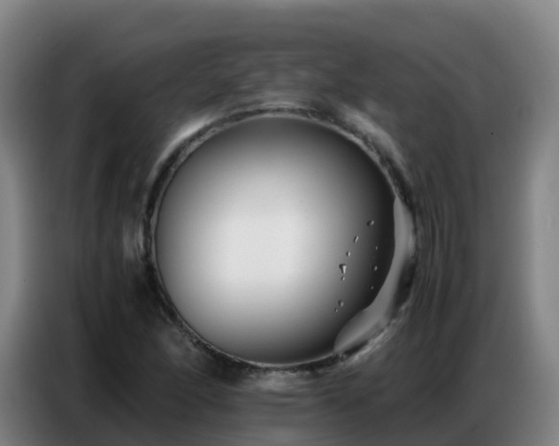 X0000086741166200704201700