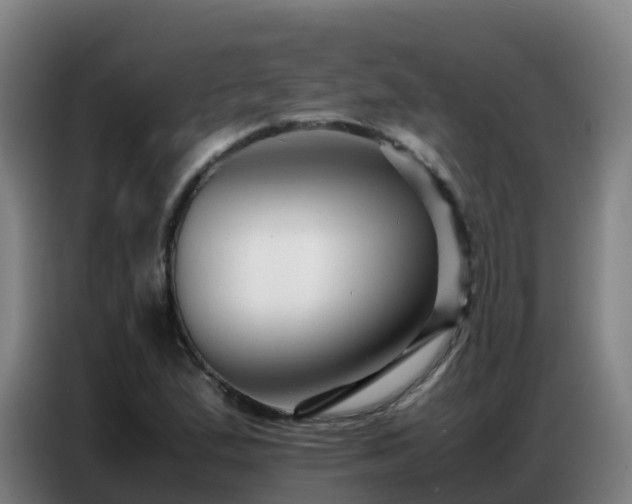 X0000086741167200704201700