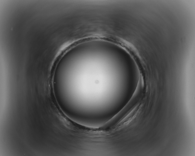 X0000086741168200704201700