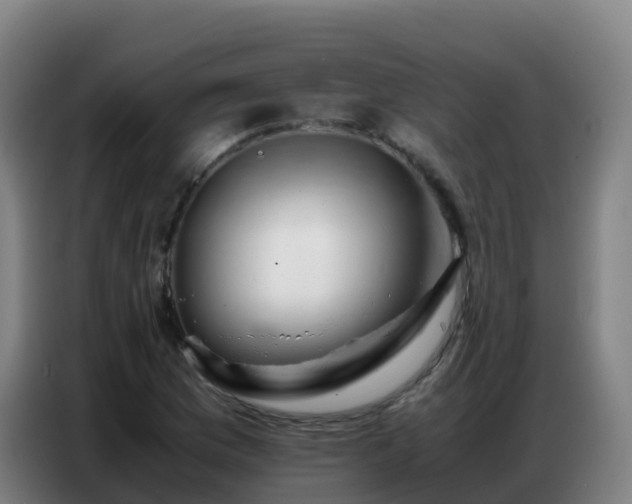 X0000086741169200704201700