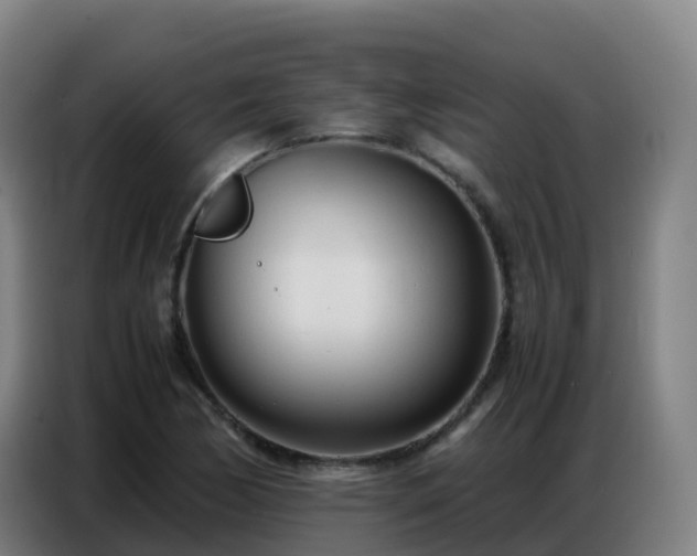 X0000086741170200704201700
