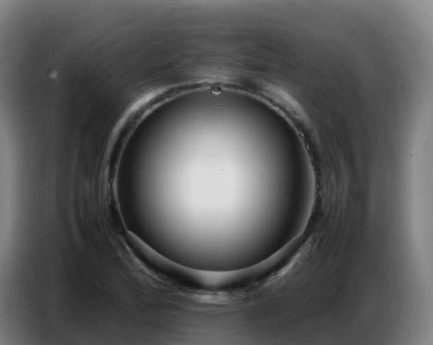 X0000086741172200704201700