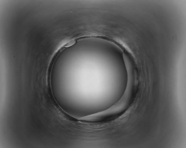 X0000086741173200704201700