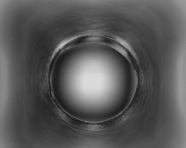 X0000086741176200704201700