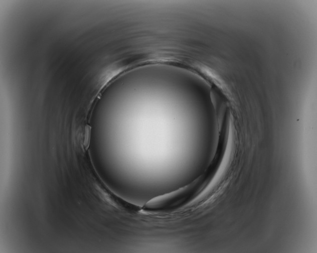 X0000086741177200704201700