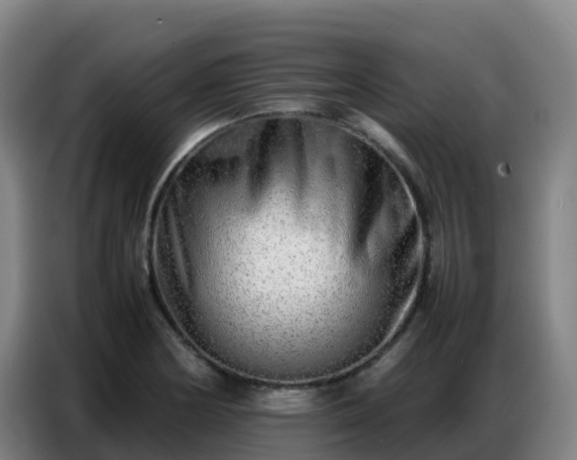 X0000086741178200704201700