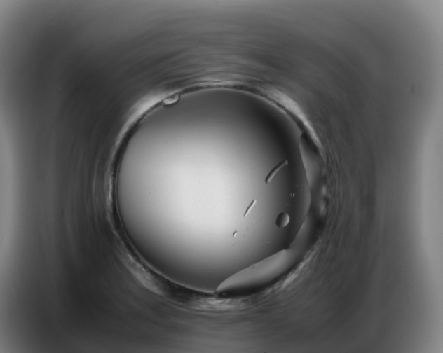 X0000086741179200704201700
