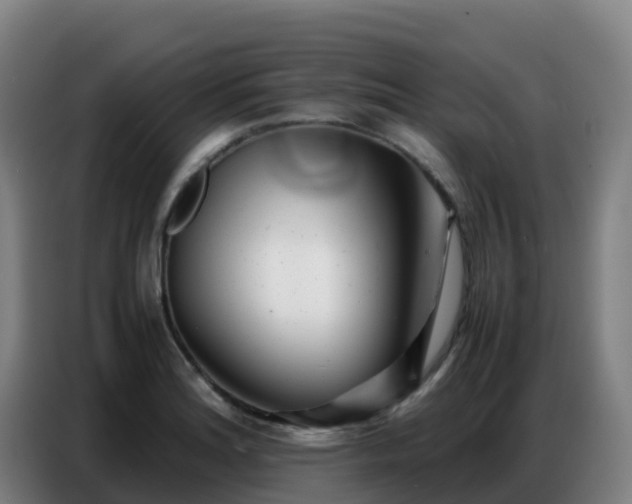 X0000086741180200704201700