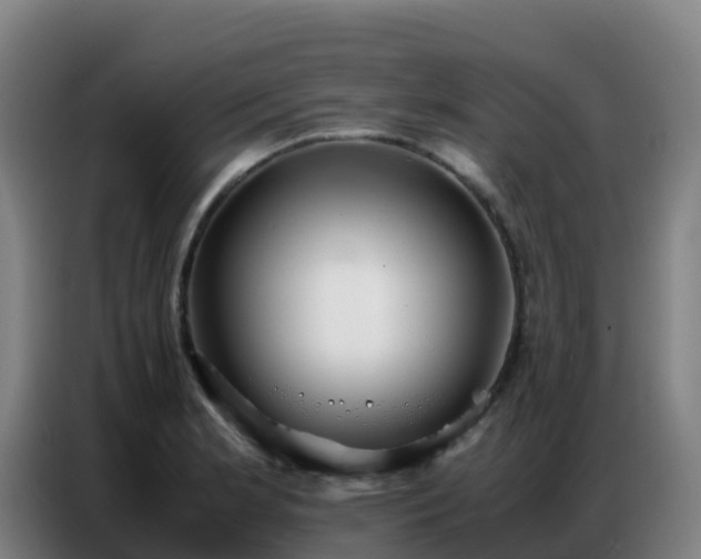 X0000086741181200704201700