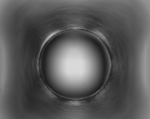 X0000086741182200704201700