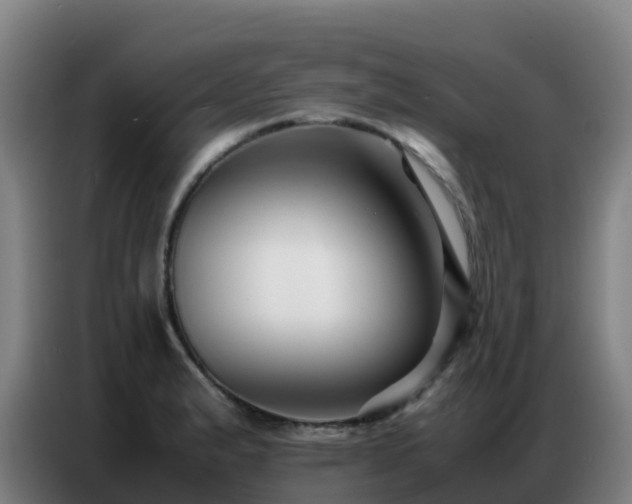 X0000086741183200704201700