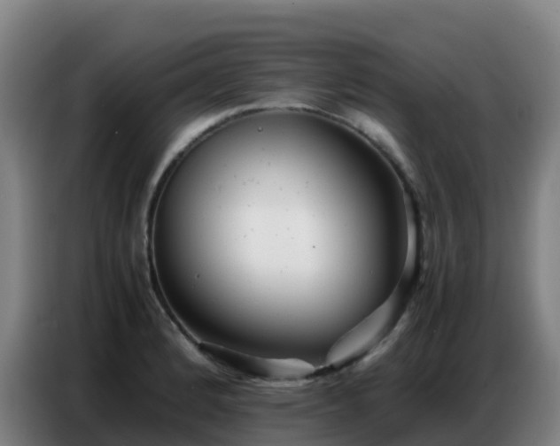 X0000086741184200704201700