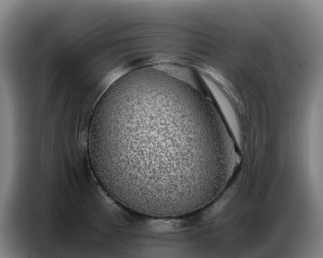 X0000086741185200704201700