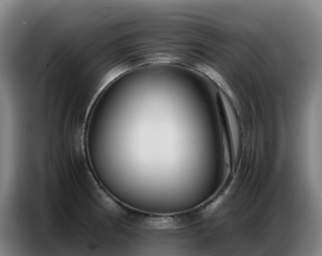X0000086741186200704201700