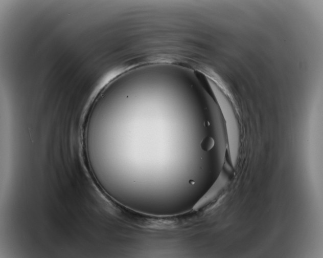 X0000086741187200704201700
