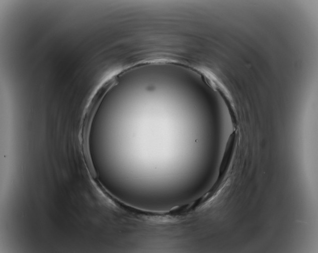 X0000086741189200704201700