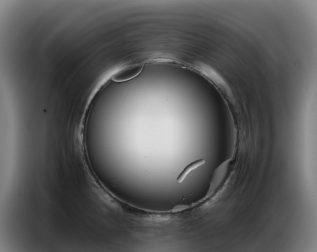 X0000086741190200704201700