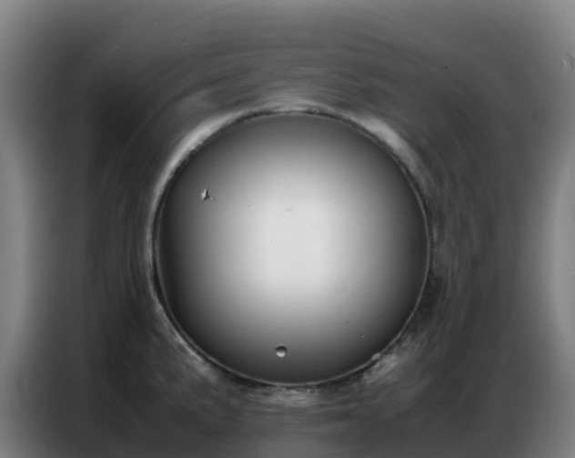 X0000086741191200704201700