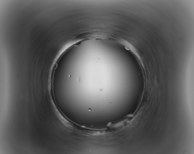 X0000086741195200704201659