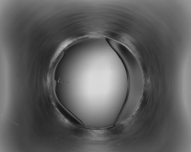 X0000086741196200704201659