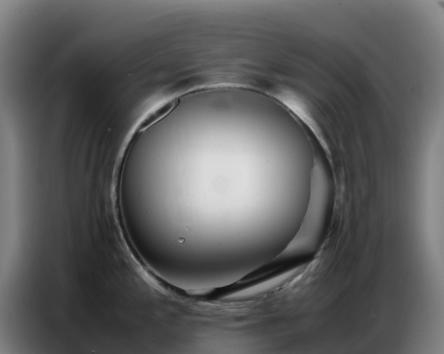 X0000086741197200704201659