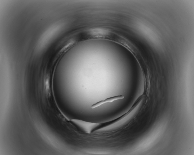 X0000086741198200704201659