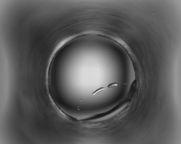 X0000086741199200704201659
