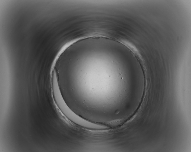 X0000086741200200704201659
