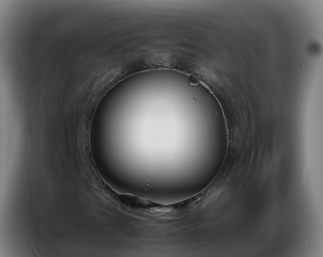 X0000086741201200704201659