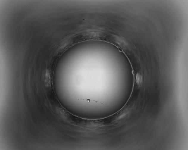 X0000086741203200704201659