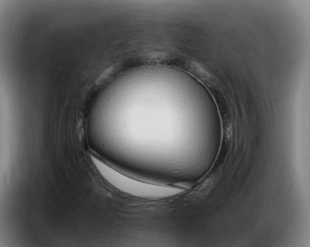 X0000086741204200704201659