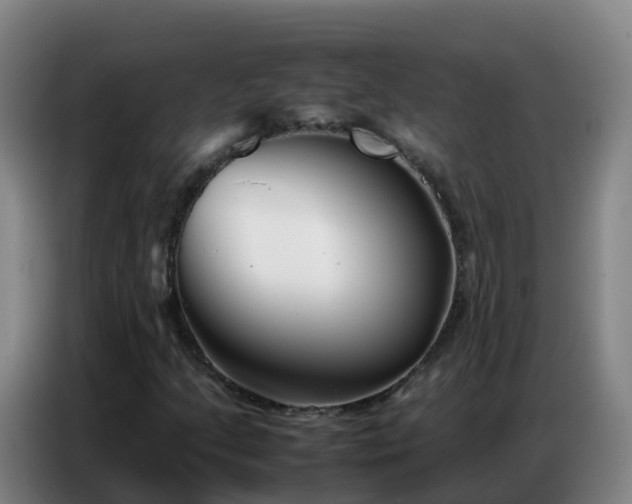 X0000086741205200704201659