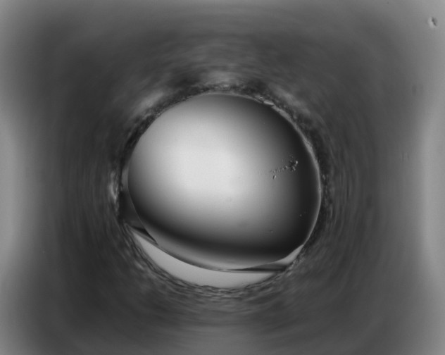 X0000086741206200704201659
