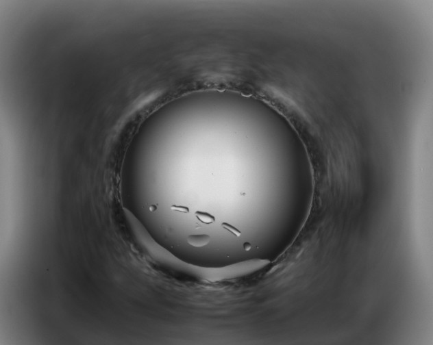 X0000086741207200704201659