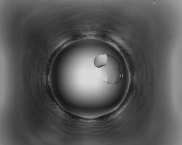 X0000086741209200704201659