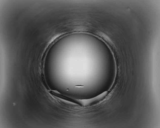 X0000086741212200704201659