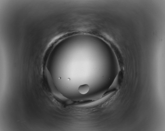 X0000086741214200704201659