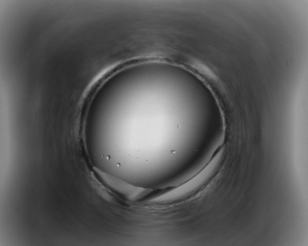 X0000086741216200704201659