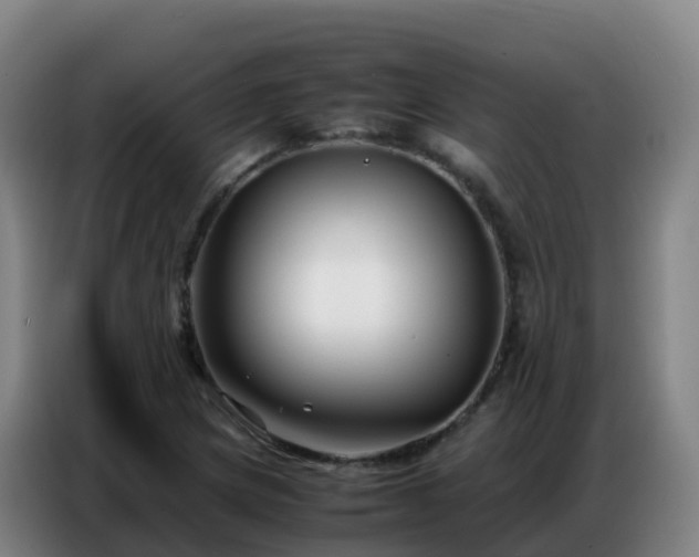 X0000086741217200704201659