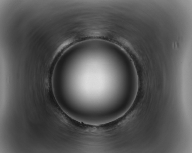 X0000086741218200704201659