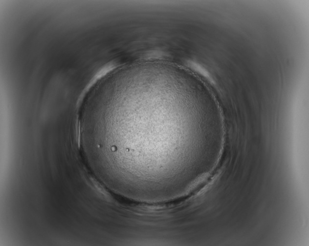 X0000086741219200704201659