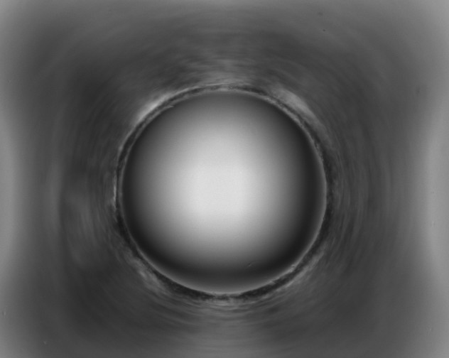 X0000086741220200704201659