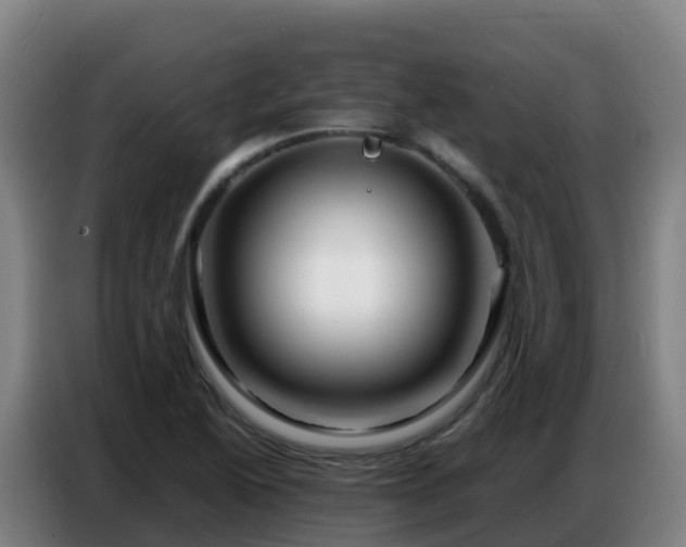 X0000086741222200704201659
