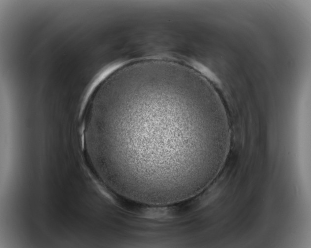 X0000086741223200704201659