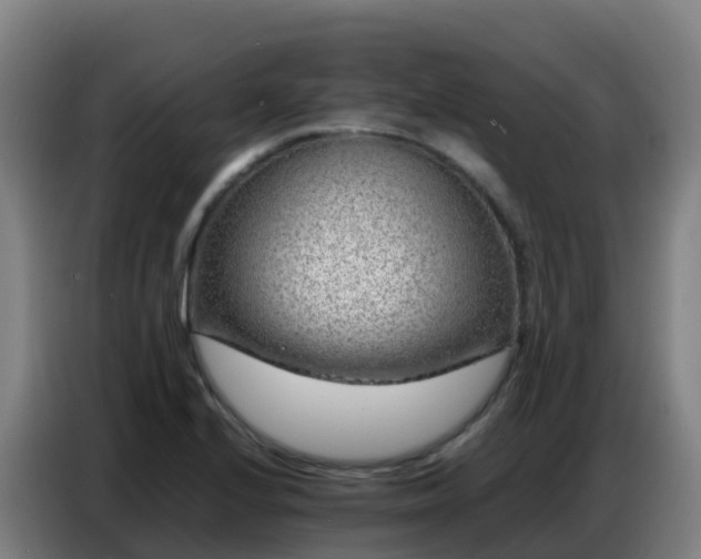 X0000086741224200704201659