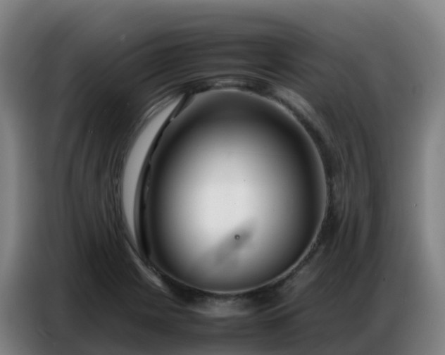 X0000086741225200704201659