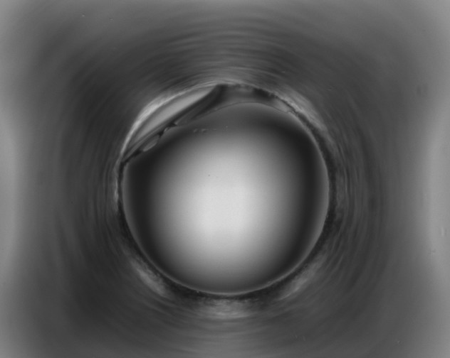 X0000086741226200704201659