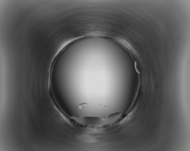 X0000086741228200704201659