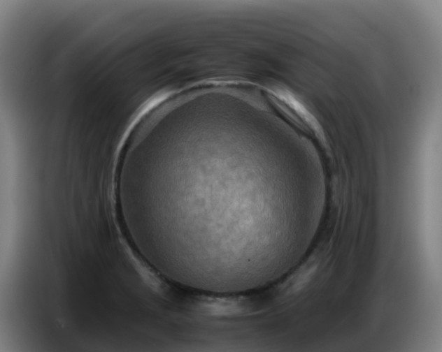 X0000086741229200704201659